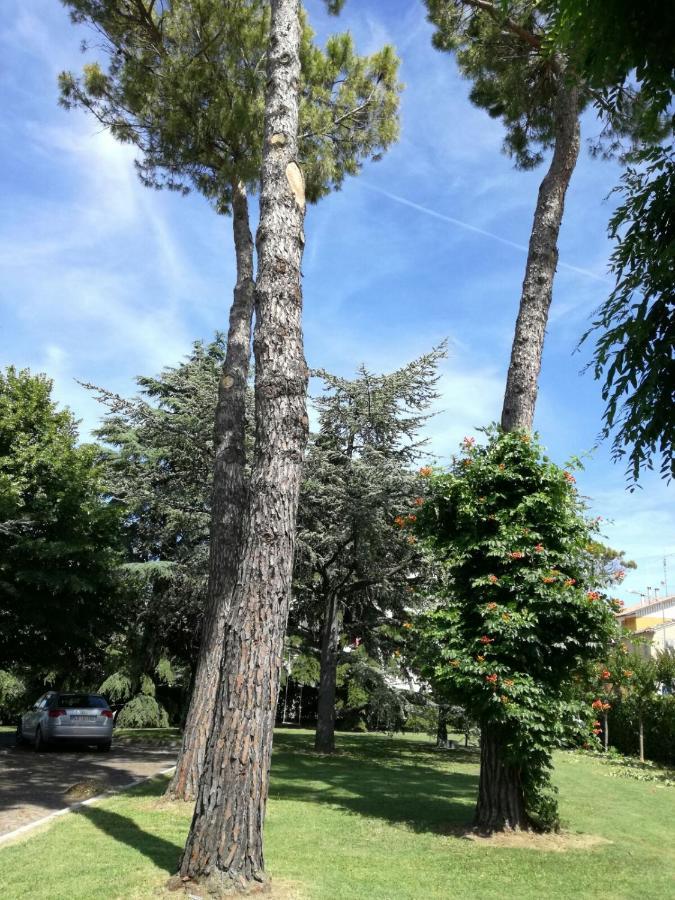 B&B Villa Lupidi Corridonia Exterior foto
